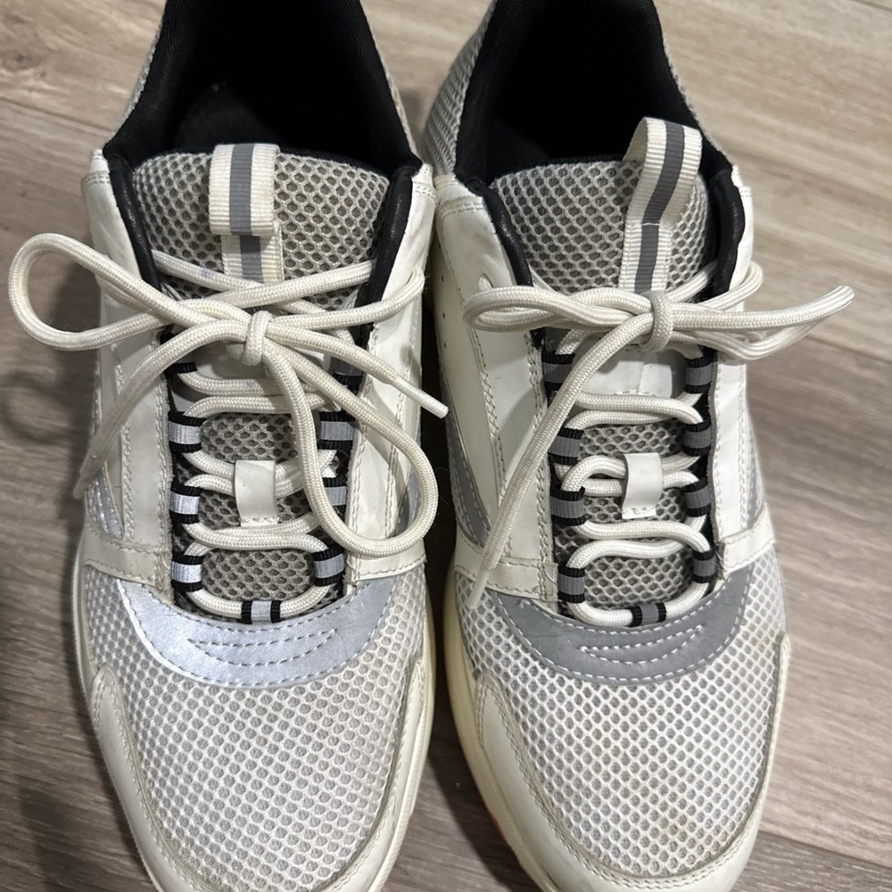 Dior B22